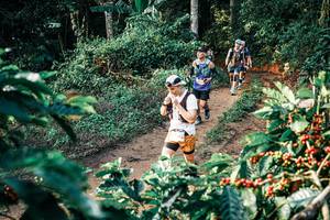 BIB: 
                            <button type="button" onclick="openModal(25837332)" class="btn btn-primary btn-sm float-right btn-popup" data-toggle="modal" data-target=".modal-high-quality">
                        <i class="fas fa-shopping-cart"></i> Add to Cart
                    </button>
                                            <button type="button" onclick="isThisMe(25837332, true)" class="btn btn-success btn-sm float-right btn-popup btn-isme hidden" data-toggle="tooltip" data-placement="bottom" title="นี่คือรูปของคุณใช่ไหม คลิกที่นี่เพื่อเอาเข้าอัลบั้ม">
                        <i class="fas fa-plus"></i> Add to album
                    </button>
                    <button type="button" onclick="isThisMe(25837332, false)" class="btn btn-warning btn-sm float-right btn-popup btn-isnotme hidden">
                        <i class="fas fa-ban"></i> Remove from album
                    </button>